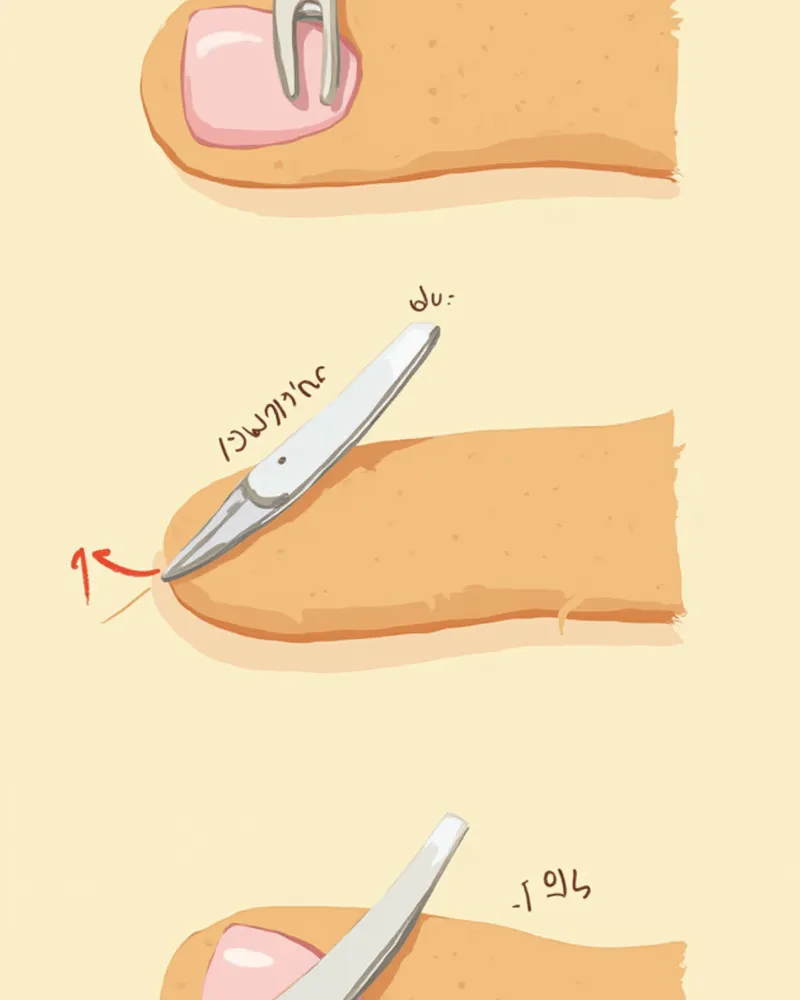 강아지 발톱을 45도 각도로 혈관을 피해 자르는 방법