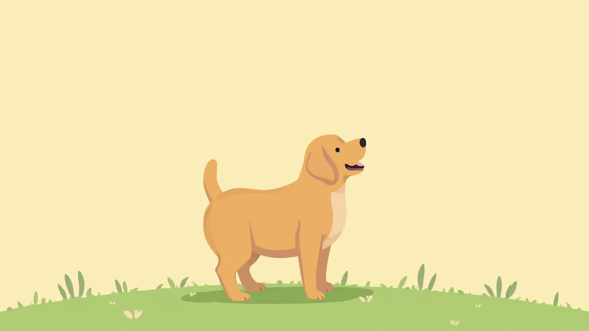 공원에서 서 있는 통통한 래브라도 리트리버의 옆모습