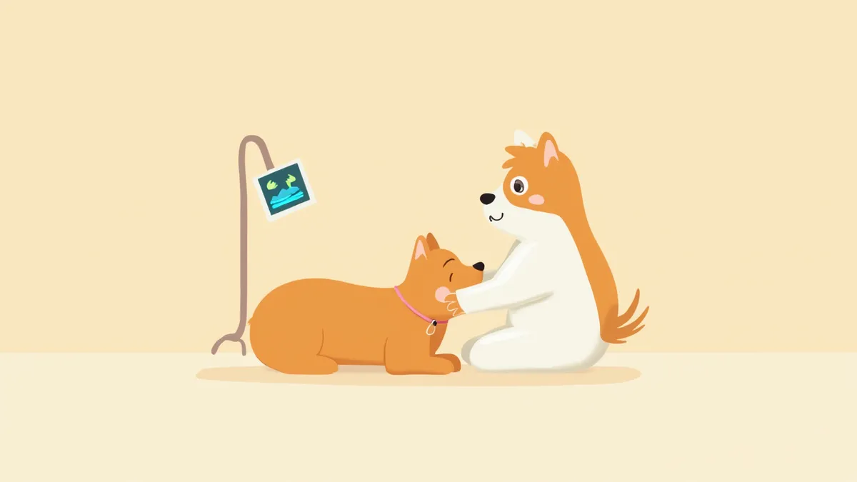 동물병원에서 초음파 검사를 받고 있는 임신한 강아지