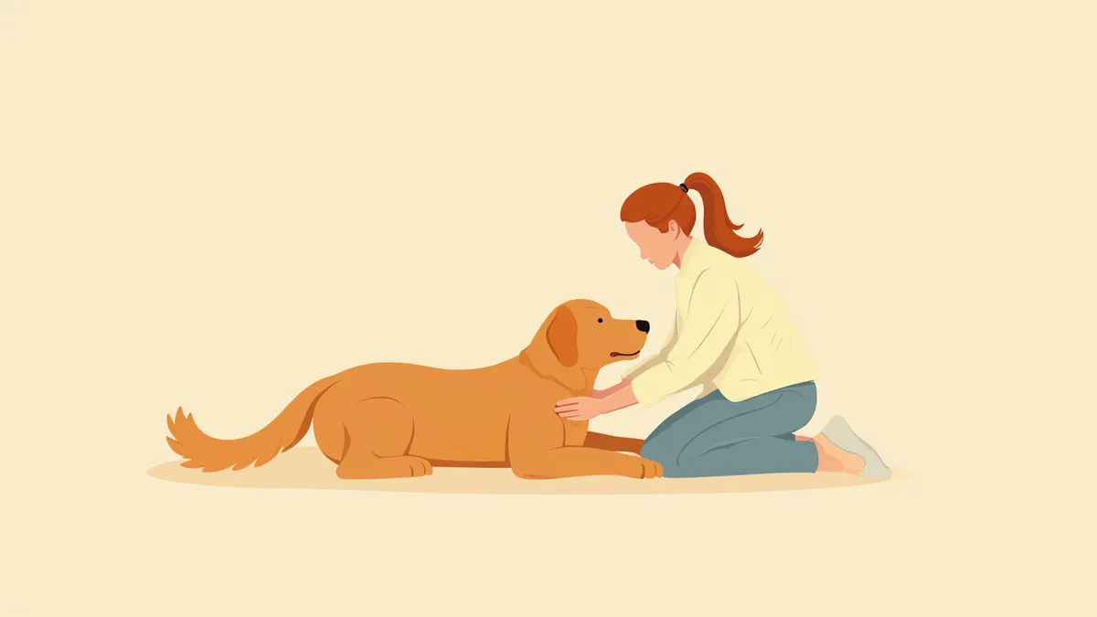 재활센터에서 치료받는 강아지