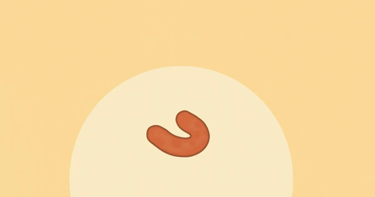 강아지 촌충(테이프웜) 자주 묻는 질문 Q&A — 보호자가 꼭 알아야 할 핵심