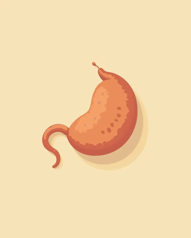 정상과 비정상 고환을 비교한 의학적 일러스트