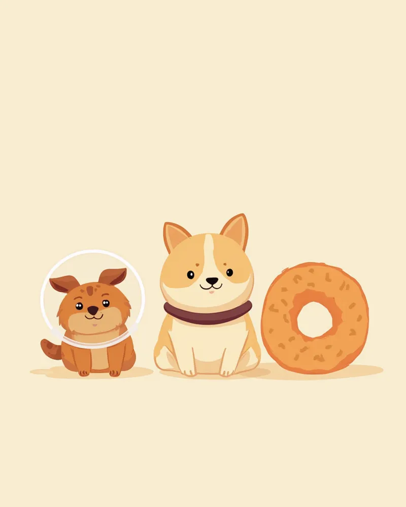 플라스틱 칼라, 소프트 칼라, 도넛형 칼라 세 가지 대안 제품 비교