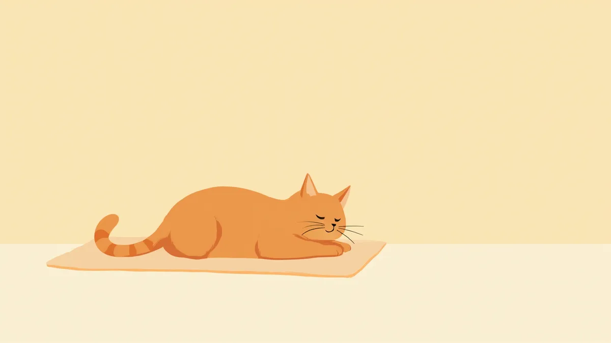 포근한 담요 위에서 편안하게 쉬고 있는 고양이