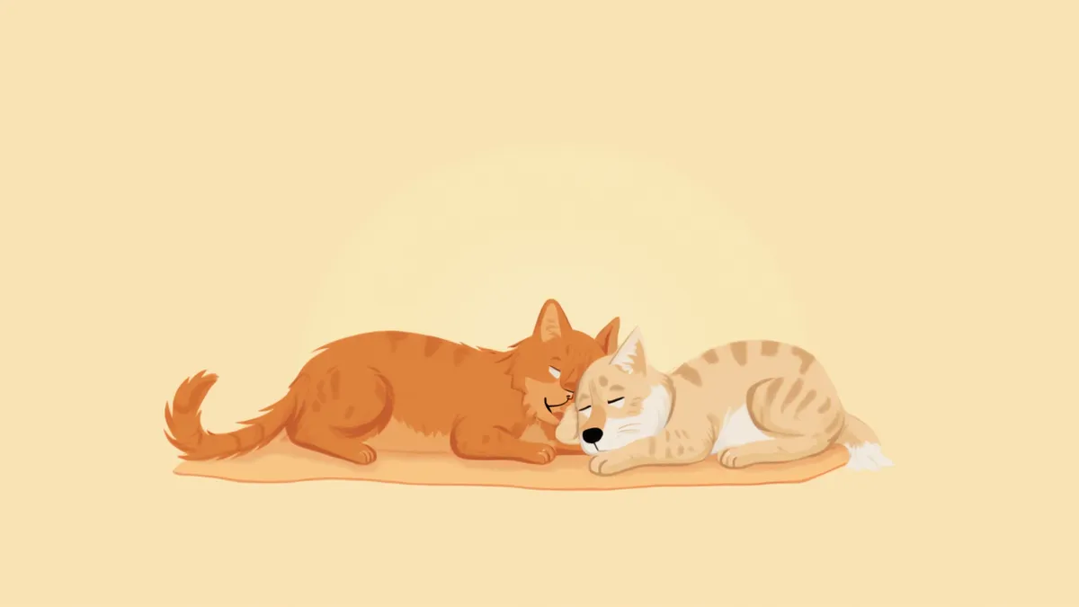 편안한 쿠션 위에서 함께 쉬고 있는 노령 반려견과 반려묘