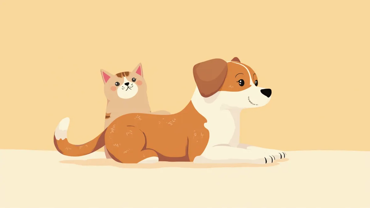 털이 푸석하고 비듬이 있는 반려동물 피부 클로즈업