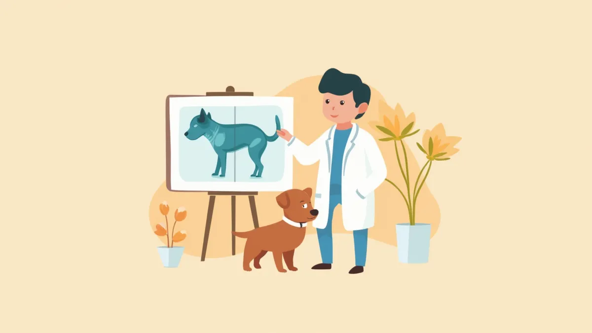 강아지 고관절 엑스레이를 확인하는 수의사