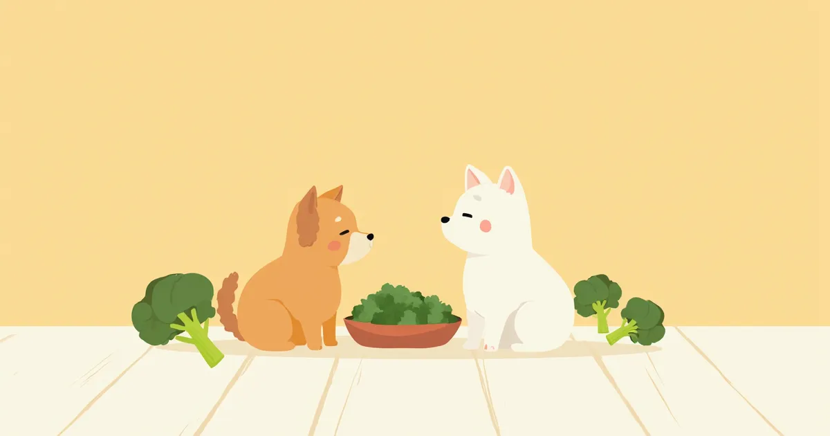 엽산 효과와 급여 가이드