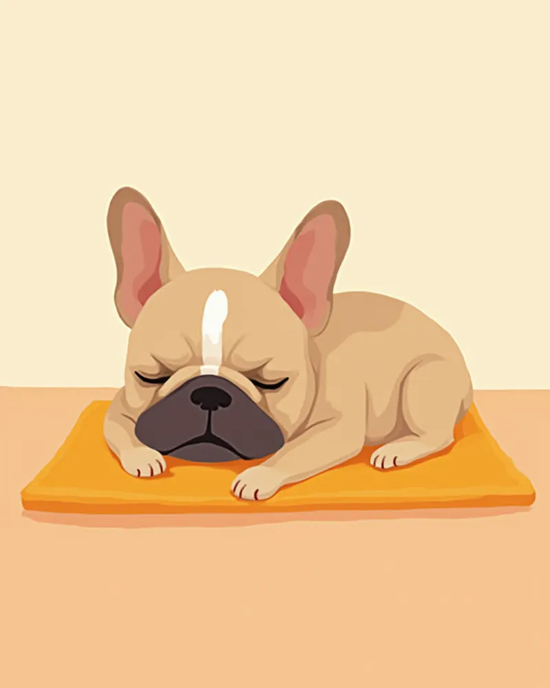 수술 후 회복 중인 프렌치 불독