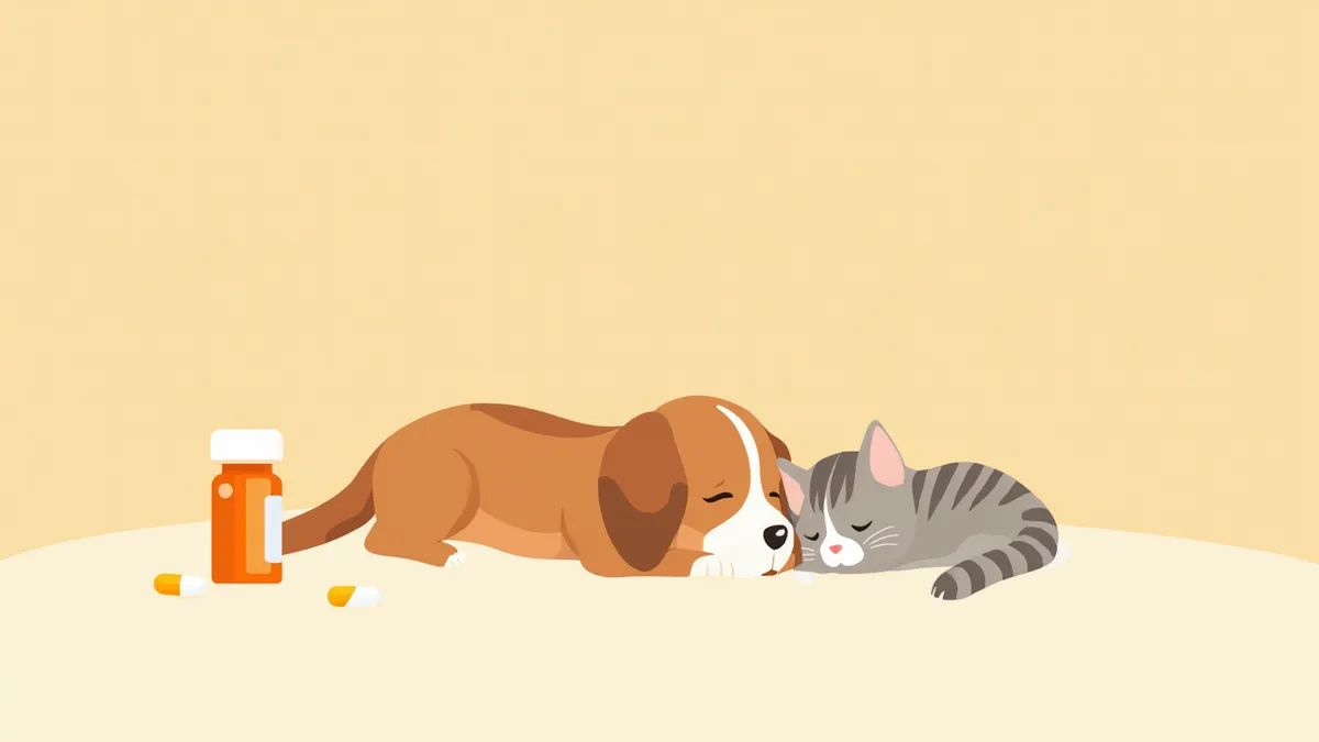 가바펜틴 캡슐과 편안히 쉬고 있는 반려동물