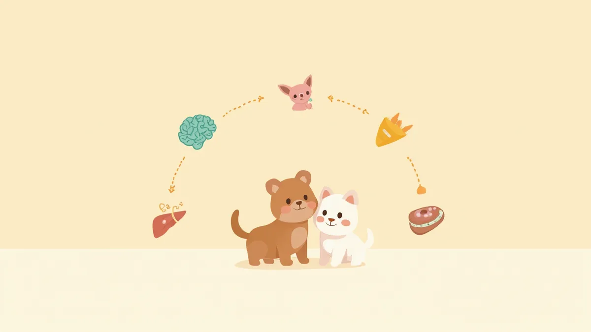 글리신 성분의 구조와 역할을 설명하는 인포그래픽 일러스트