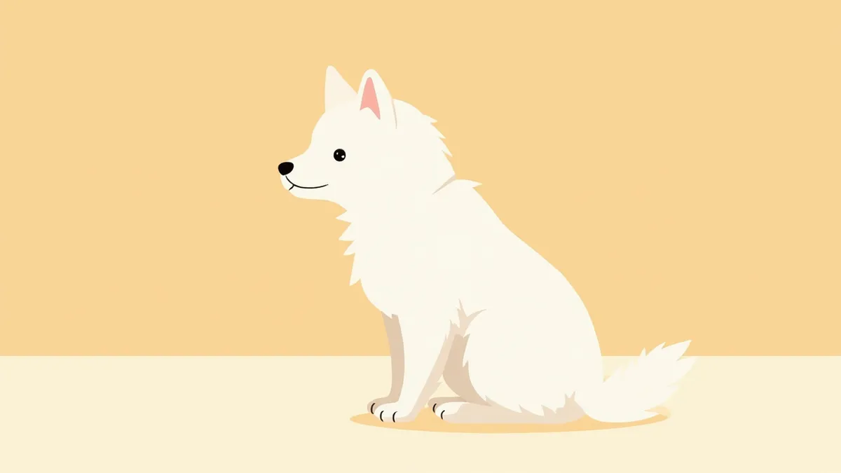 실내에서 앉아 있는 건강한 하얀 진돗개