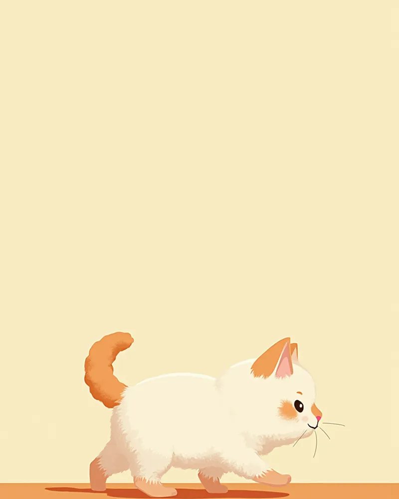 바닥을 걷고 있는 램킨 고양이의 짧은 다리와 체형