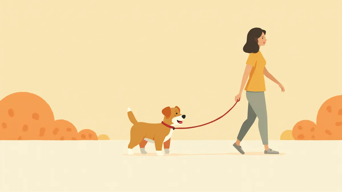 느슨한 U자 리드줄로 보호자 옆을 걷는 강아지
