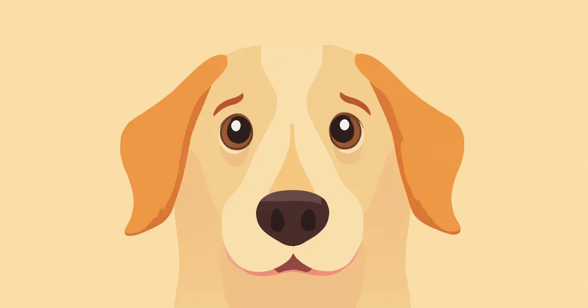 황반·망막 변성 원인과 관리