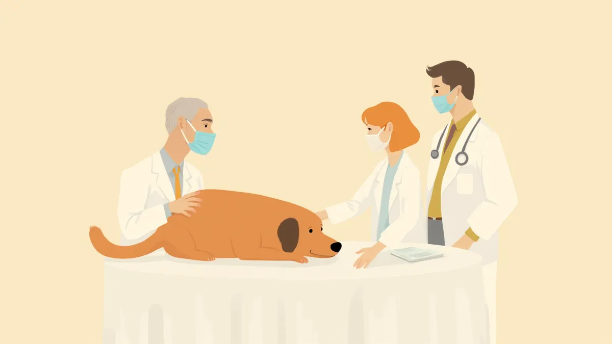 보호자와 수의사가 반려동물의 마지막을 상담하는 장면