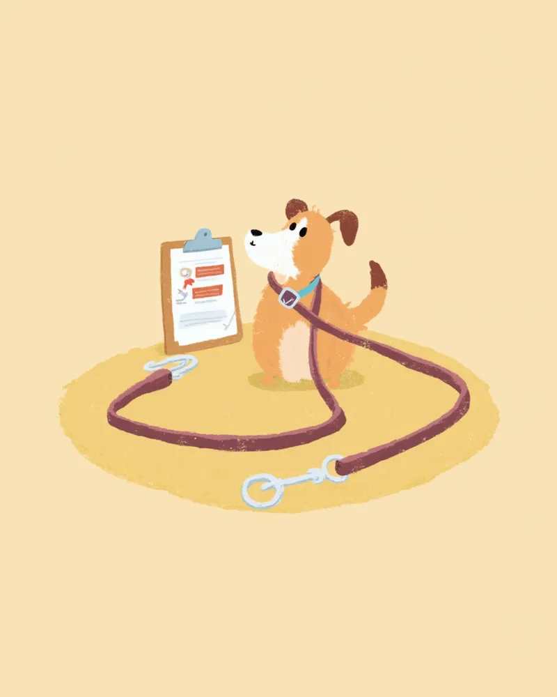 반려동물 보험 서류를 확인하는 모습