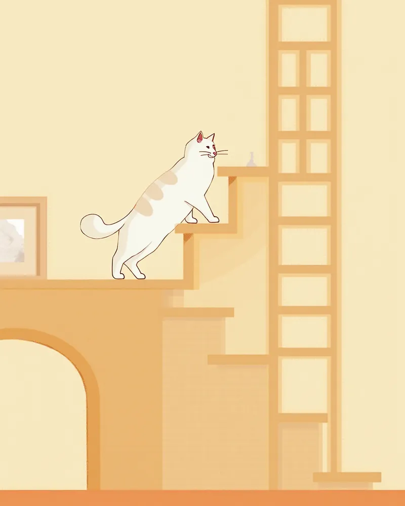 계단형 캣타워를 오르는 렉돌 고양이