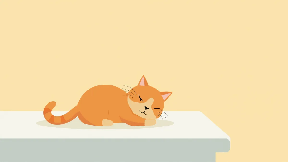 동물병원 진료대 위에서 편안하게 누워 있는 스코티시폴드