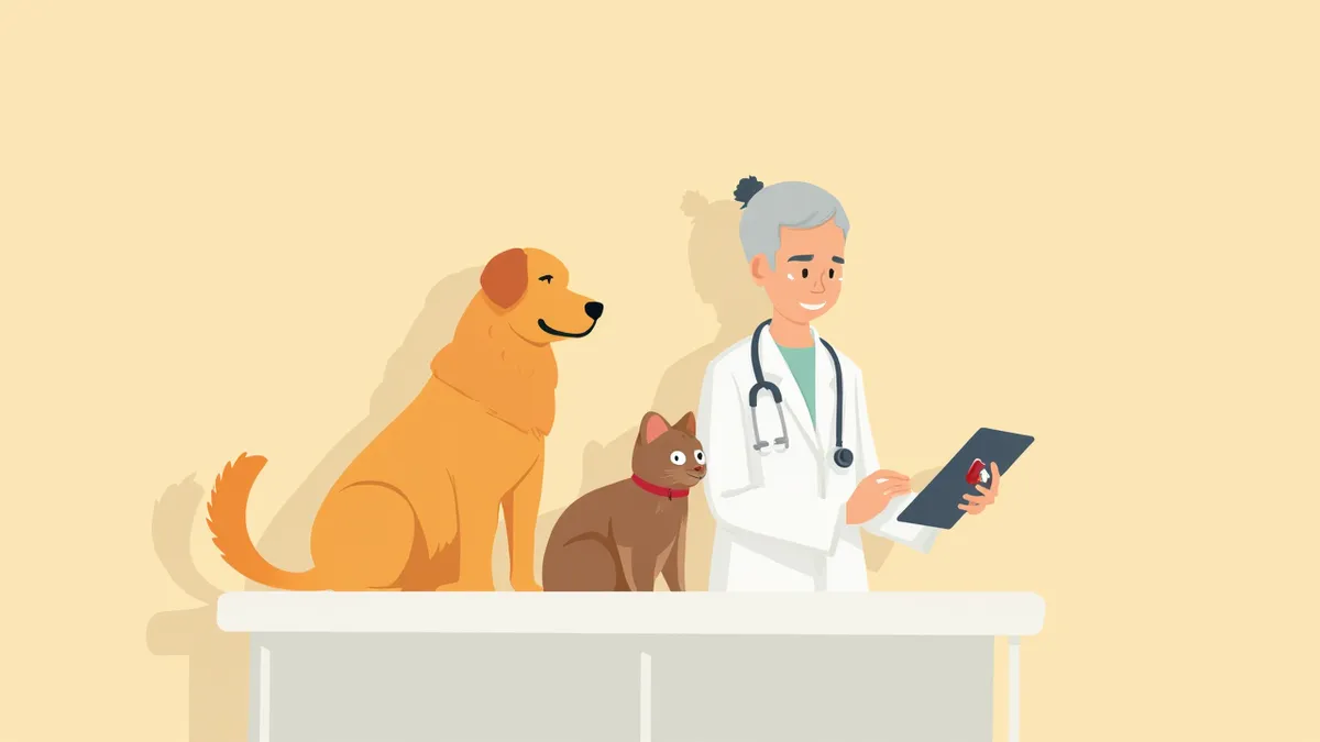 노령견과 노령묘를 대상으로 마취 전 혈액검사 결과를 확인하는 수의사