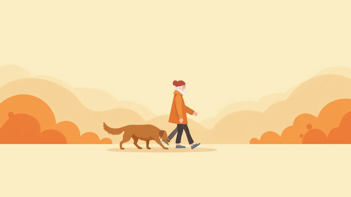 평지 공원에서 천천히 산책하는 노령 골든리트리버