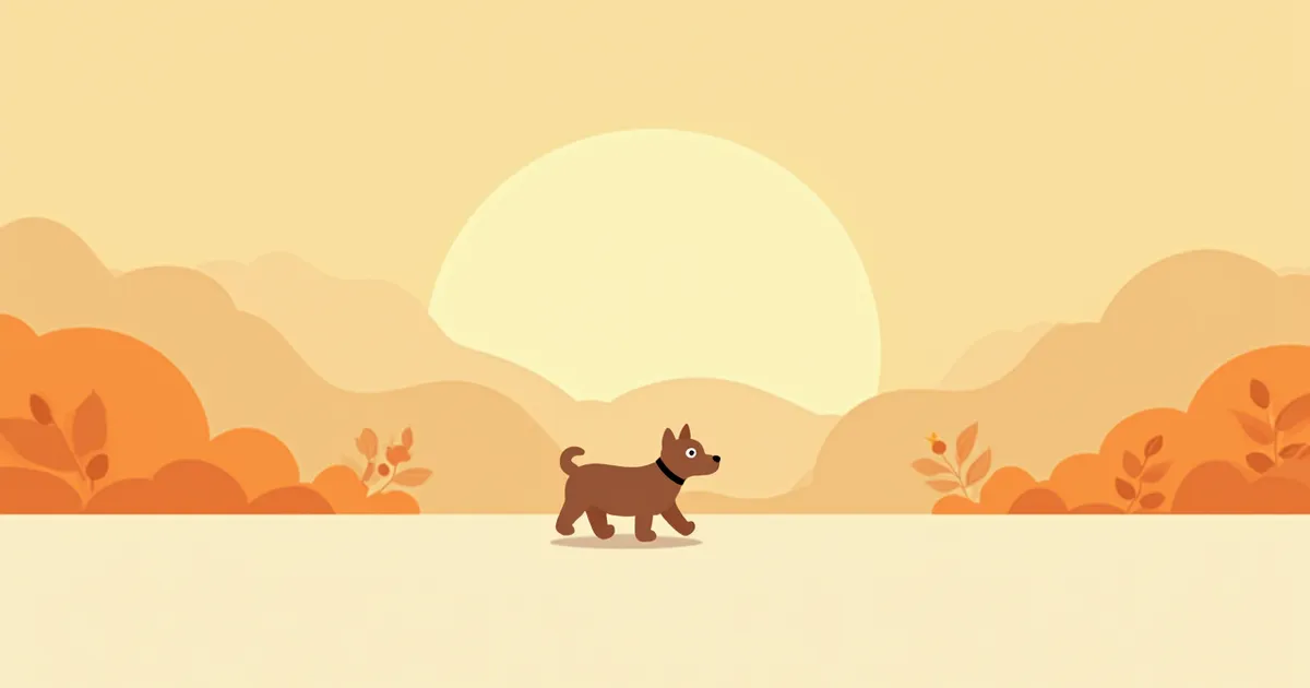 노견 산책 가이드 (강도·시간)