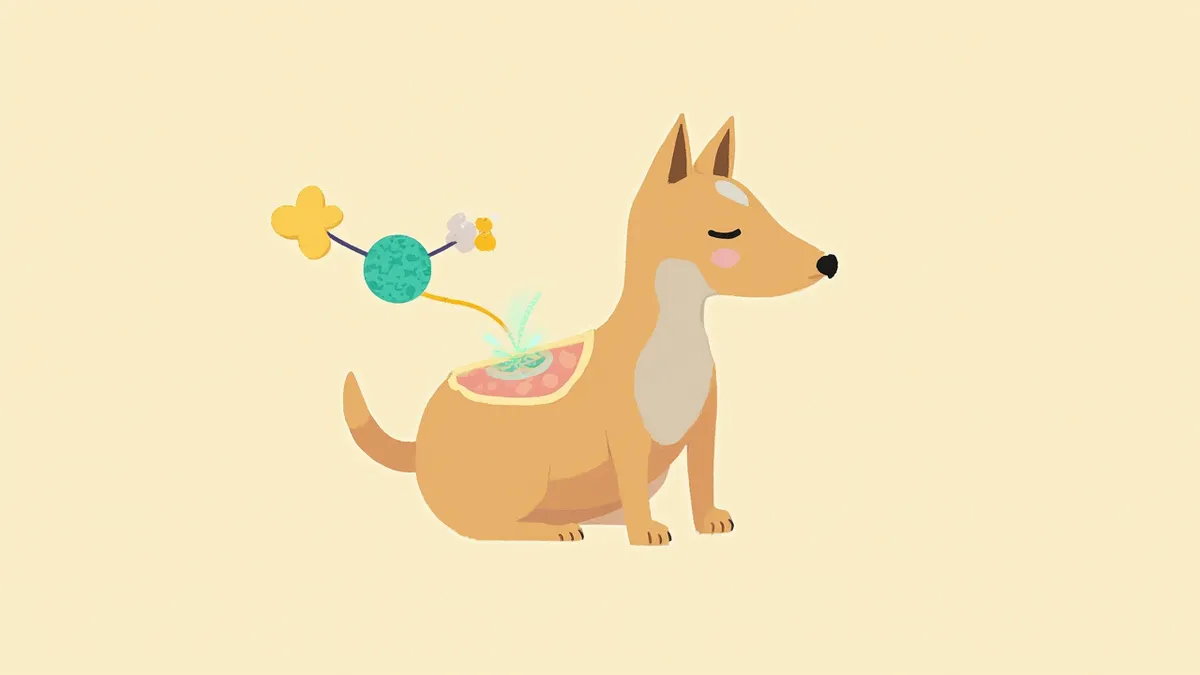 트립토판이 뇌에서 세로토닌으로 전환되는 과정을 보여주는 일러스트