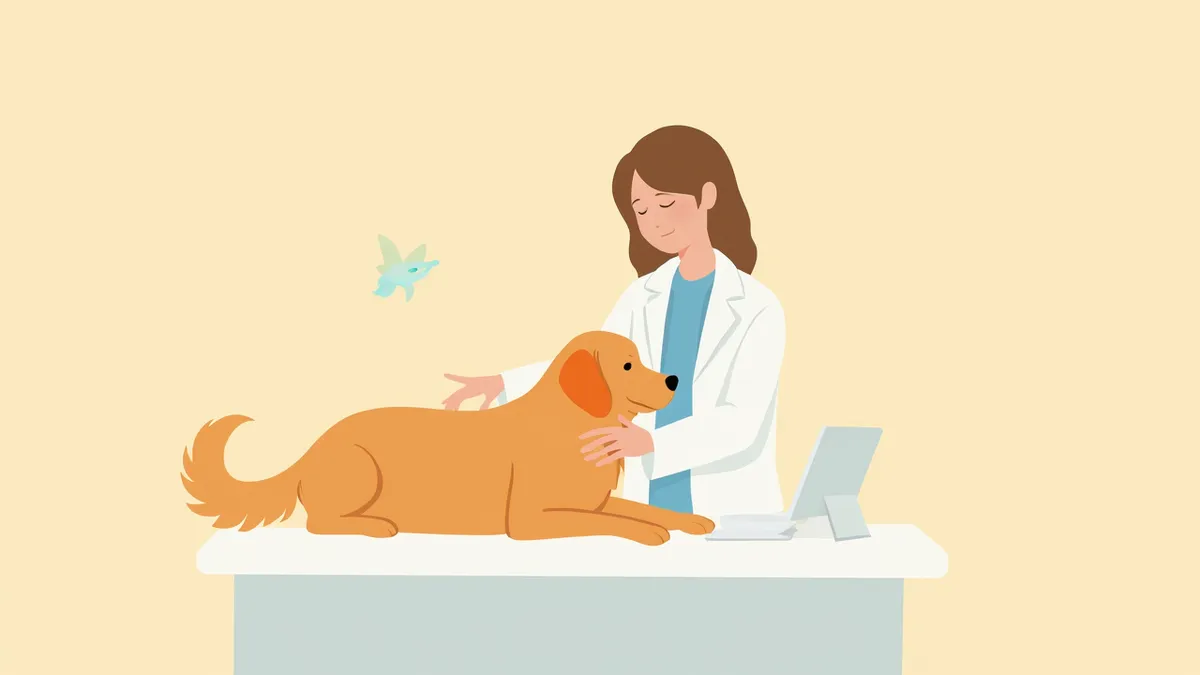 수의사가 반려견의 림프절을 촉진하며 종양 병기 검사를 진행하는 모습