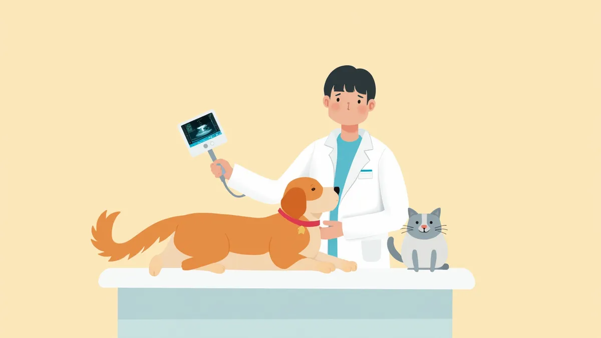 초음파 프로브와 함께 진료대 위의 강아지와 고양이