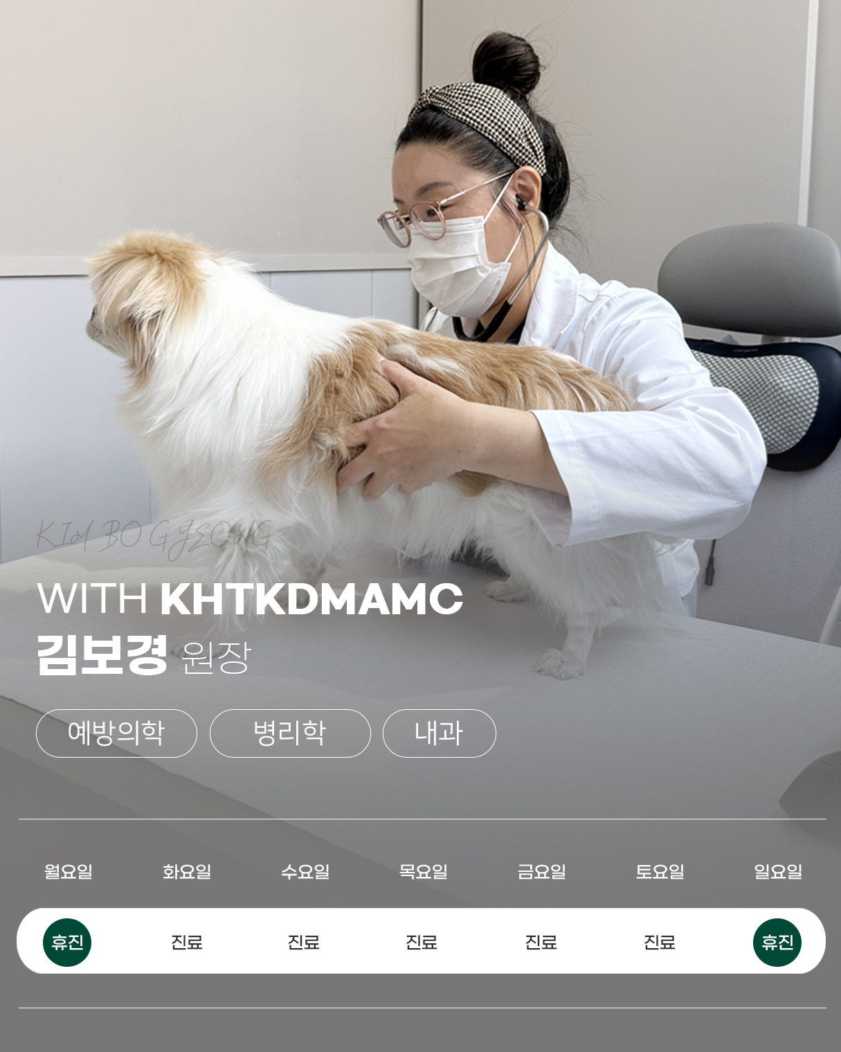 김현태김동민 동물의료센터 사진 3