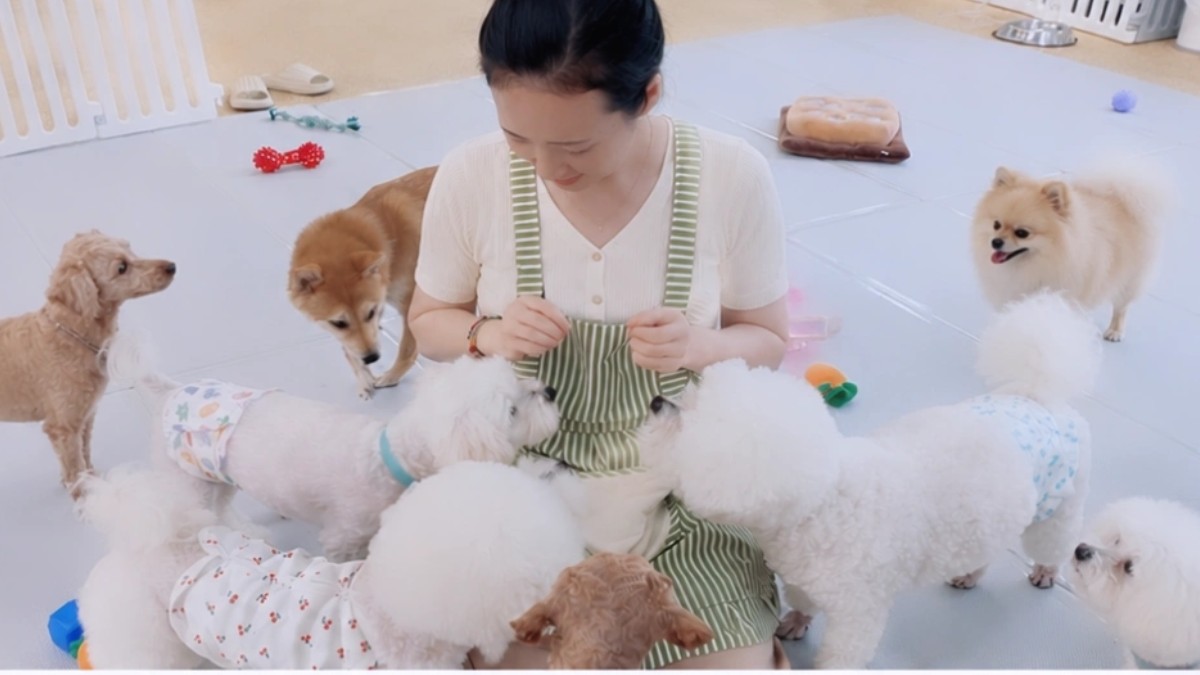 몽샤르망 애견유치원
