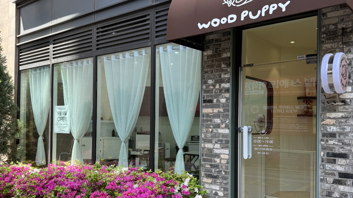 우드퍼피(woodpuppy)