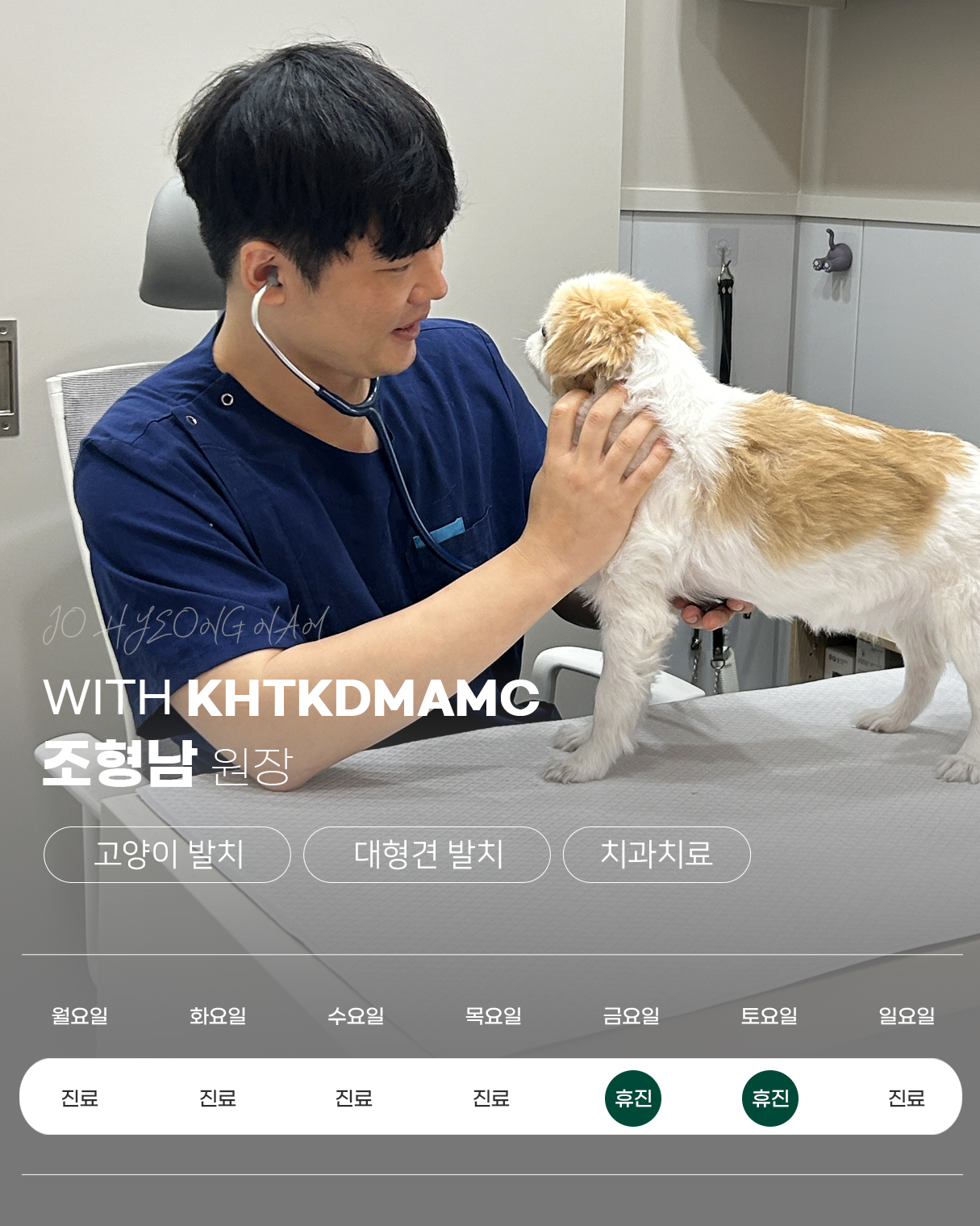 김현태김동민 동물의료센터 사진 6