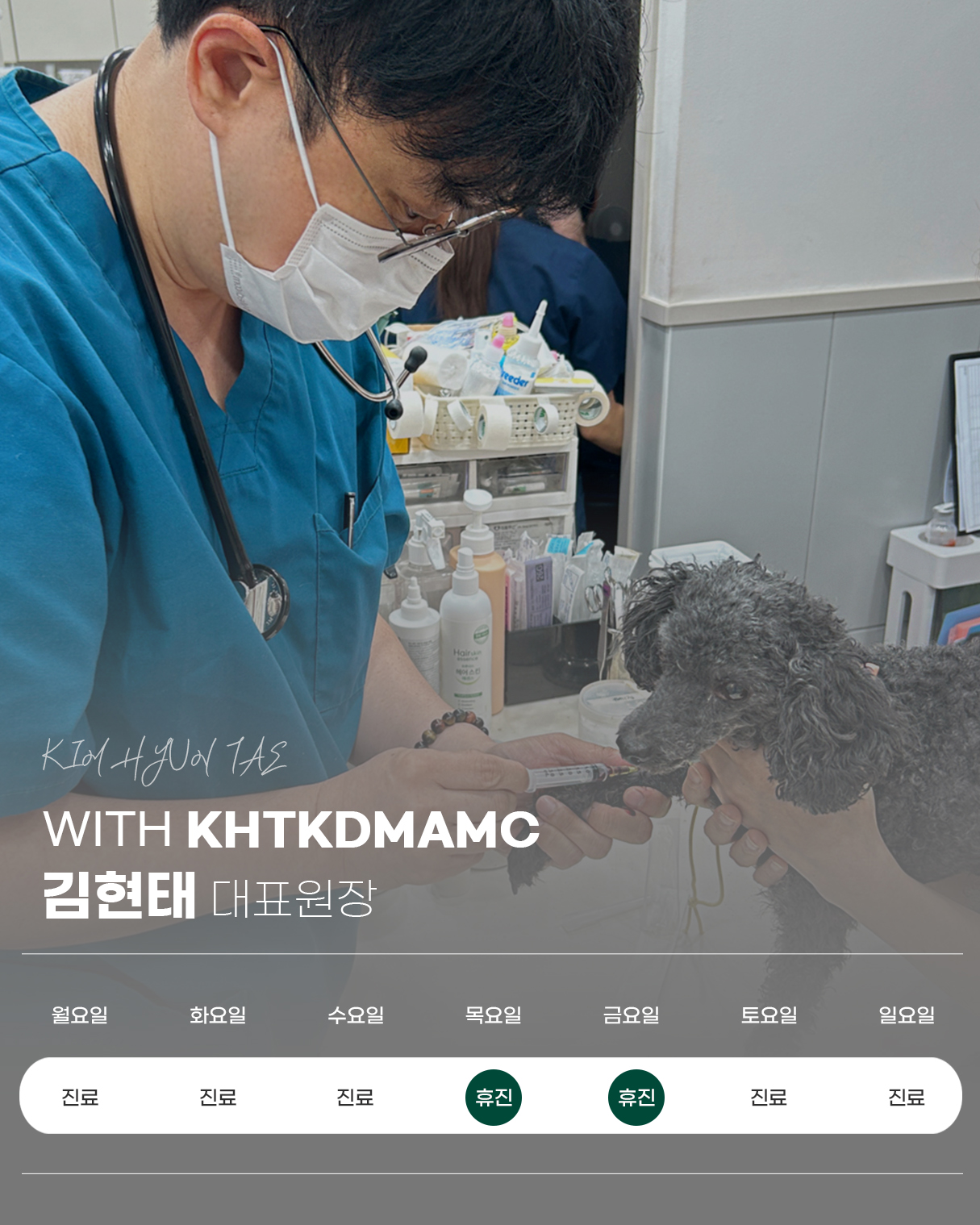 김현태김동민 동물의료센터 사진 4